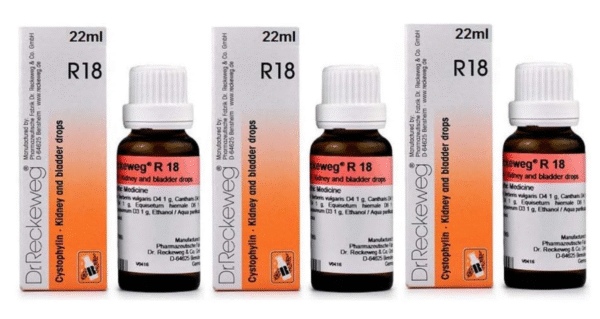 Dr. Reckeweg R18 Drops 22ml Each – Pack of 3 for Kidney Care