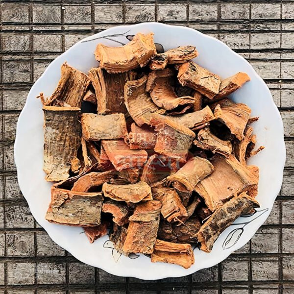 Close-up of dried Arjun ki Chaal showing its coarse texture and natural brown color